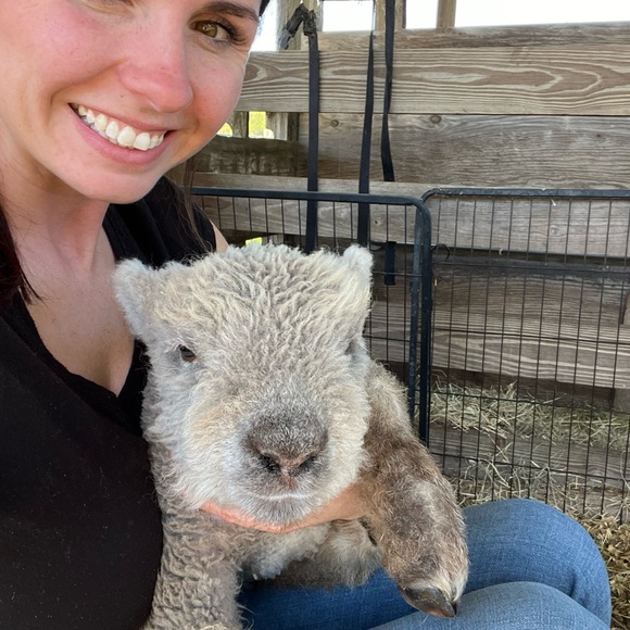 Meet your Posher, Fallon - Picture 7 of 8